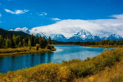 The Best Yellowstone And Grand Teton National Park Tour