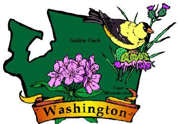 Washington Genealogy | State birds, Washington, Washington state