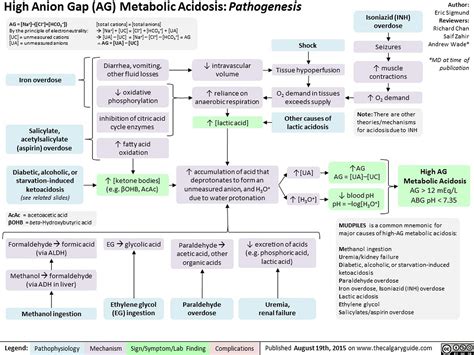 High Anion Gap Metabolic Acidosis Pathogenesis Calgary Guide