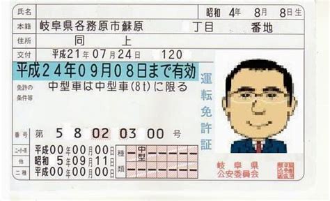 Yusuke Japan Blog Each Japanese Drivers License Has A Color Which You