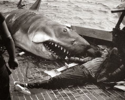 The Accidental Auteur How Jaws Almost Derailed Steven Spielbergs