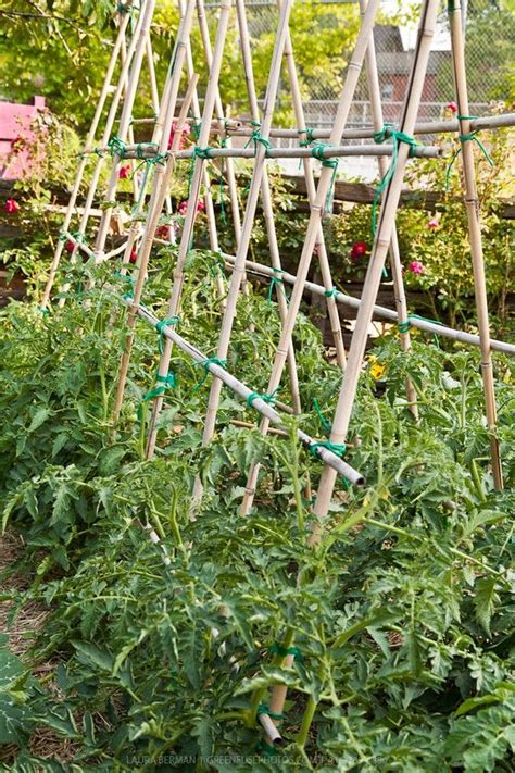 Check out 22 best diy garden trellis ideas & designs for all your climbing plants and flowers. Pin by Mother 2 Mother Blog on Gardening Tips | Bamboo ...