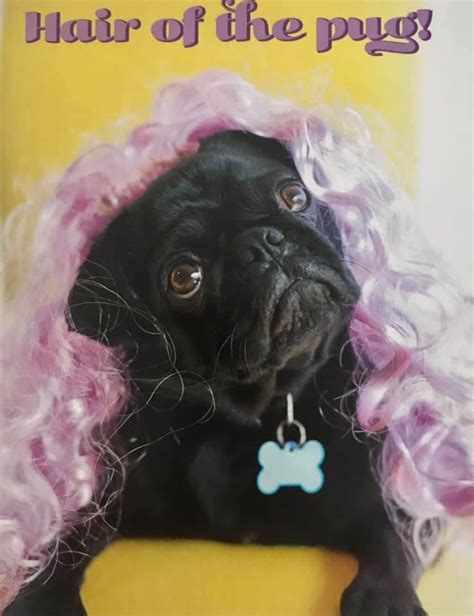 Funny Black Pug Birthday Card I Love Pugs