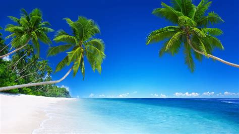 Beautiful Beach Tropical Paradise Palm Trees Blue Sea3840x2160