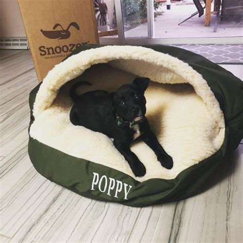 Snoozer Orthopedic Cozy Cave Dog Bed 6 Colors 3 Sizes Cozy Cave