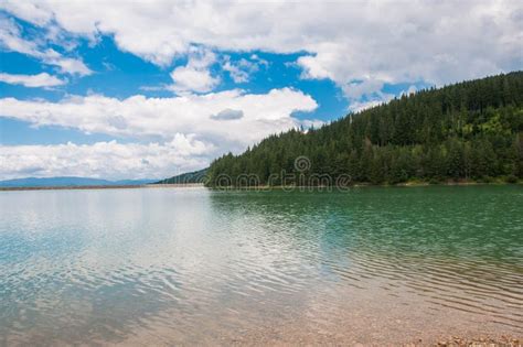 Lago Artificial Limpio Cristalino Cerca Del Bosque Del Pino En Rumania