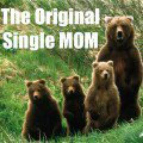 Mama Bear Protecting Cubs Quotes Quotesgram