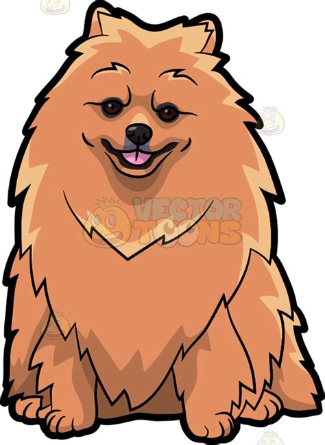 Cute Cartoon Pomeranian Dog Breed Clipart Vector Image Vlrengbr