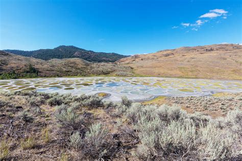 How To Visit Lake Kliluk Spotted Lake In Osoyoos Canada 2022 Facts