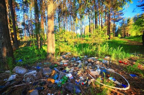 Concepto de ecología del vertedero de basura forestal protección de la naturaleza de la