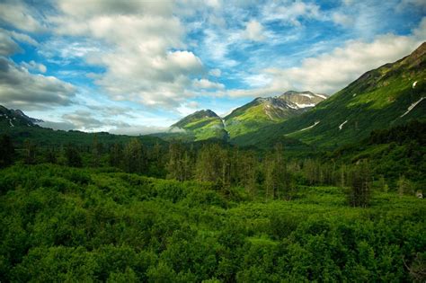 Usa Mountains Forests Sky Scenery Clouds Chugach National Forest Alaska