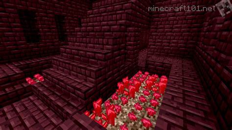The Nether Minecraft 101