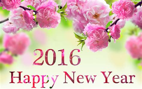 Happy New Year 2016 Wallpapers Best Wallpapers
