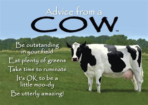 Be Utterly Amazing Advice From A Cow Advice Quotes Advice Cow