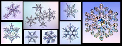 7kl Snow Crystal Habits