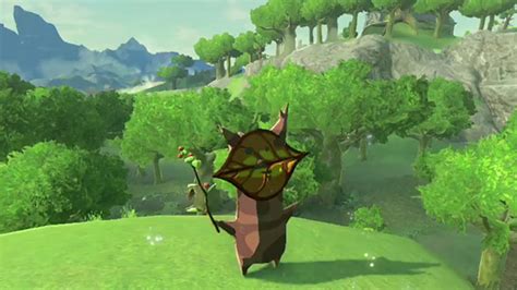 Guide Combien Y A T Il De Koroks Dans The Legend Of Zelda Tears Of