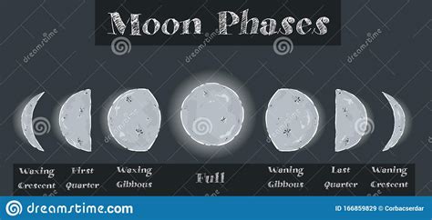 Vector Moon Phases Set Calendar Symbols Vector Illustration Stock