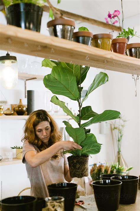 Lady In The Flower Shop By Stocksy Contributor Bruce And Rebecca Meissner Stocksy