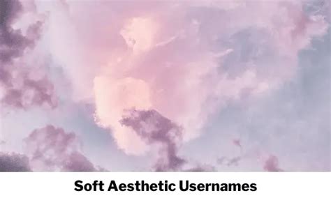 740 Soft Aesthetic Usernames Cute Soft Usernames And Nicknames
