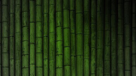 Bamboo Desktop Wallpapers Top Free Bamboo Desktop Backgrounds