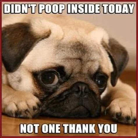 The fall season is very depressive. Here Are Memes To Brighten Your Day! - Post 20 in 2020 ...