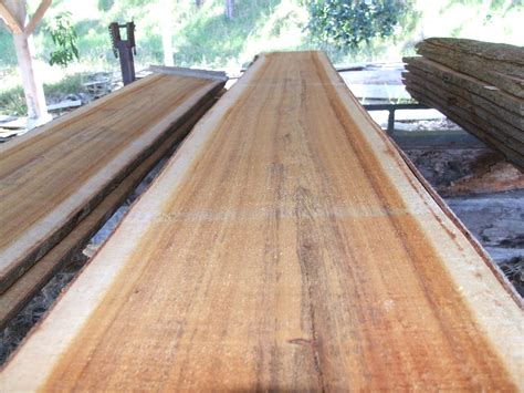 What is Acacia Wood – Facts & Helpful Information  WoodWorksHub.com