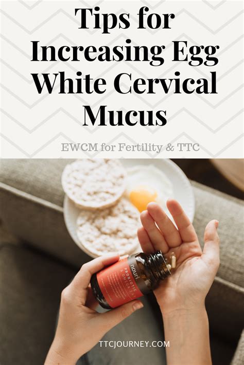 Tips For Increasing Egg White Cervical Mucus Cervical Mucus Increase