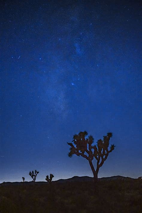 Joshua Tree Natl Park Milky Way Night Sky Fine Art Photo Photos By