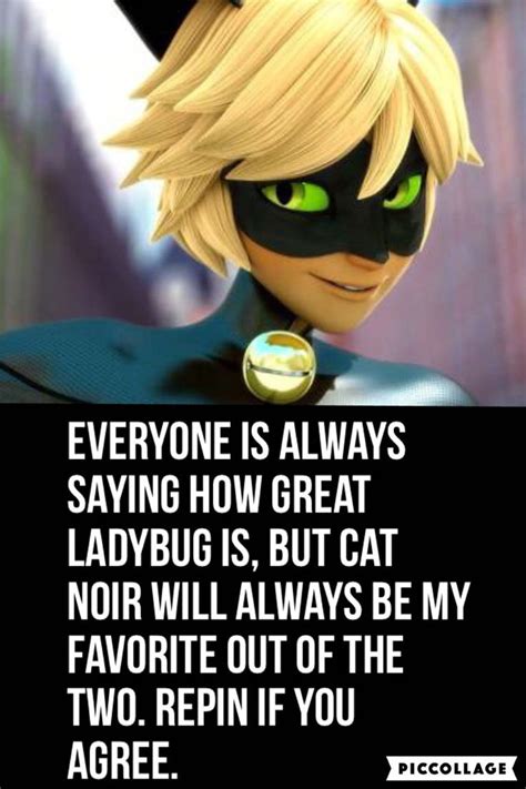 Cat Noir In Miraculous Ladybug Movie Miraculous Ladybug Memes