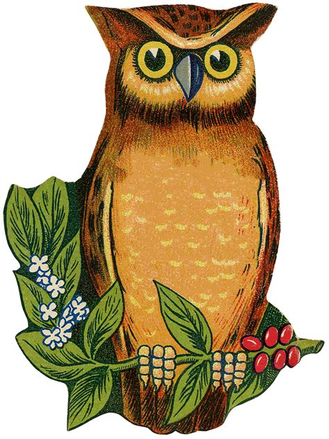Antique Bird Design Vintage Owl Printable Owl Clip Art Owl On Branch