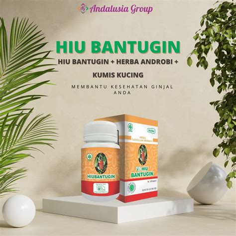 Jual HIU Bantugin Obat Batu Ginjal Dan Batu Empedu Alami 60 Kapsul