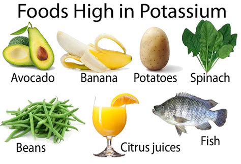 What Fruit Is Highest In Potassium Top Picks For A Healthy Diet
