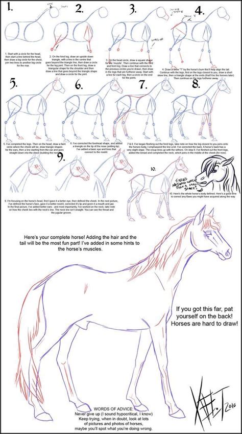 Horse Drawings Animal Drawings Pencil Drawings Art Drawings Drawing