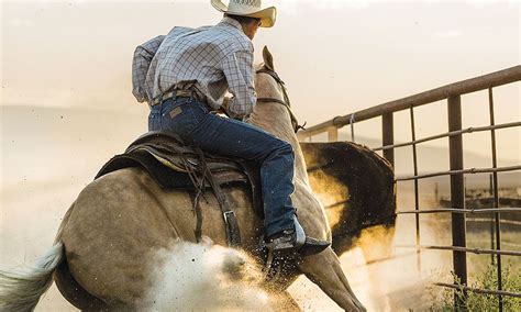 We recommend the titles worth watching. Down The Fence Is The Movie You've Been Waiting For On ...