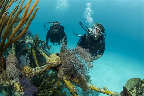 Introduction To Scuba Diving Half Day Sydney Adrenaline