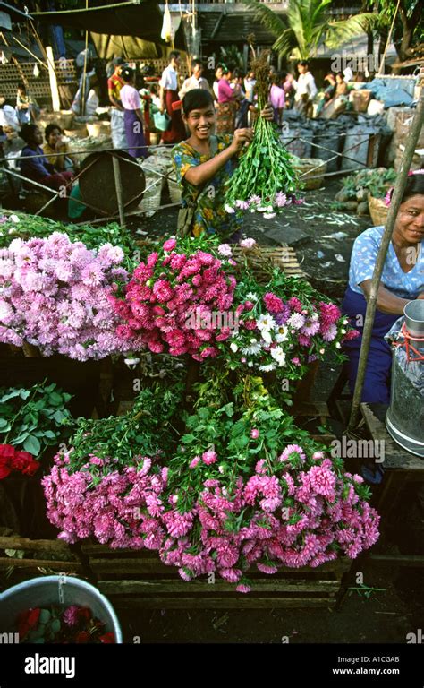 Myanmar Burma Yangon Rangoon Flower Stall In Street Market Stock Photo
