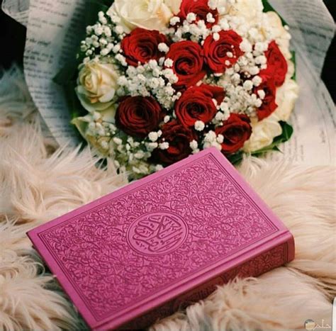 الوسيلة لترتيل القرآن الكريم ( المصحف المعلم ). مصحف ملون خلفيات مصاحف روعه - Bertul