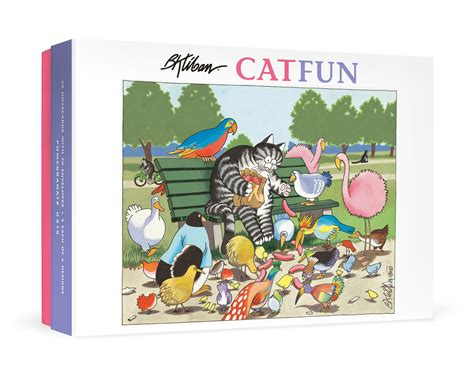 B Kliban Cat Fun Boxed Assorted Note Cards — Bird In Hand