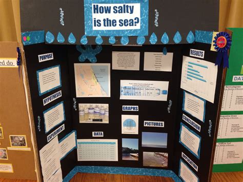 Pine Trails Winning Science Fair Projects Mrs Schandels 5th Grade