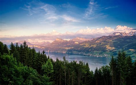 Switzerland Lake Zurich Lake Forest Trees Mountains Clouds