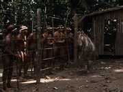 Daryl Hannah Kathy Bates Naked At Play In The Fields Of The Lord