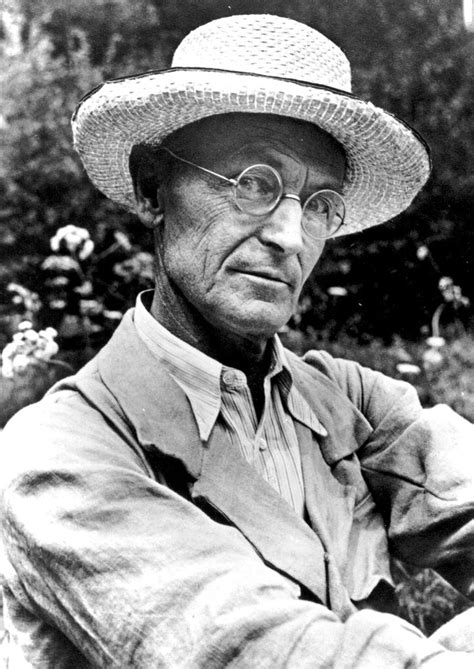 Hermann Hesse On Solitude The Value Of Hardship The Courage To Be