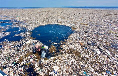 Documentario Oceanos De Plastico