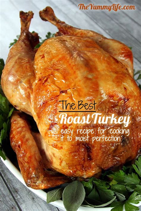The Best Roast Turkey Perfectly Cooked And Moist Recipe Best Roasted Turkey Roasted