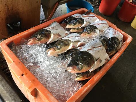Gemakkelijk online betalen, razendsnel thuisbezorgd. Mun Kee Steam Fish Head 文记鱼头王蒸鱼头@ Happy Garden, KL ...