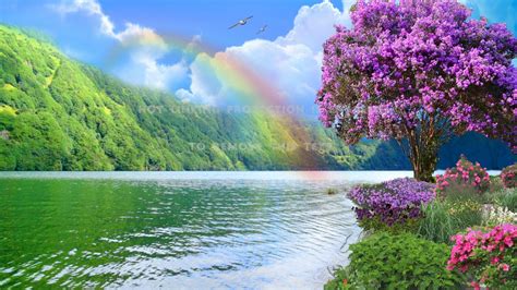 Natural Rainbow Wallpapers Top Free Natural Rainbow Backgrounds Wallpaperaccess