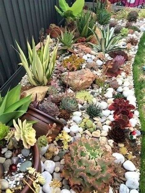 While all cacti are succulents, not all succulents are cacti. 50 Gorgeous Succulent Garden Ideas For Your Backyard in ...