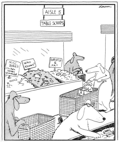 The Dogs Grocery Store Classic Far Side Comic Far Side Cartoons