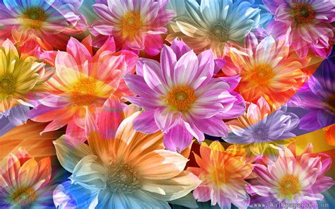 48 Beautiful Flowers Wallpapers Free Download Wallpapersafari