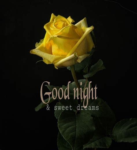 Pin By Arpita Jain On Flowers Good Night Sweet Dreams Good Night